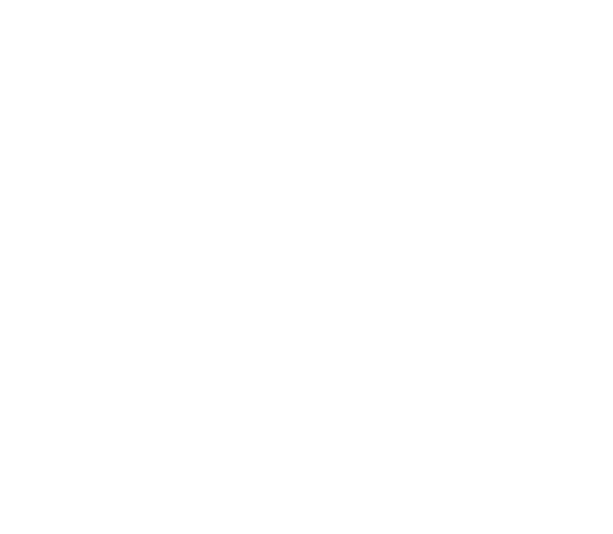 logo de website